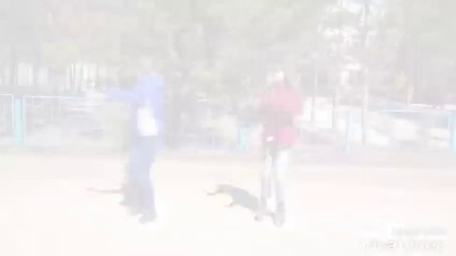 I Got Love°Окутала/ Классный танец✨ смотреть онлайн