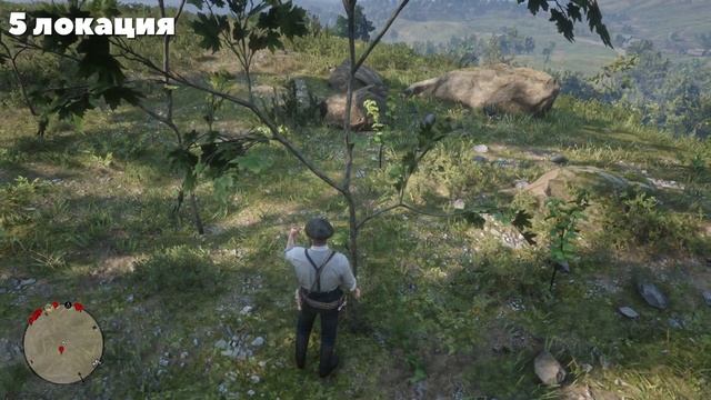 ИСПЫТАНИЕ ТРАВНИК! - Red Dead Redemption 2