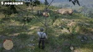 ИСПЫТАНИЕ ТРАВНИК! - Red Dead Redemption 2