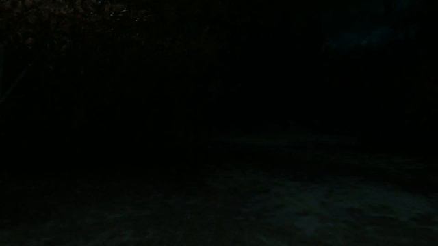 Scariest Game Of Peek-A-Boo Ever!!! (Passing Pineview Forest) смотреть онлайн