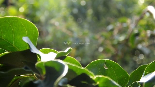 Video test for fujifilm finepix hs50exr camera смотреть онлайн