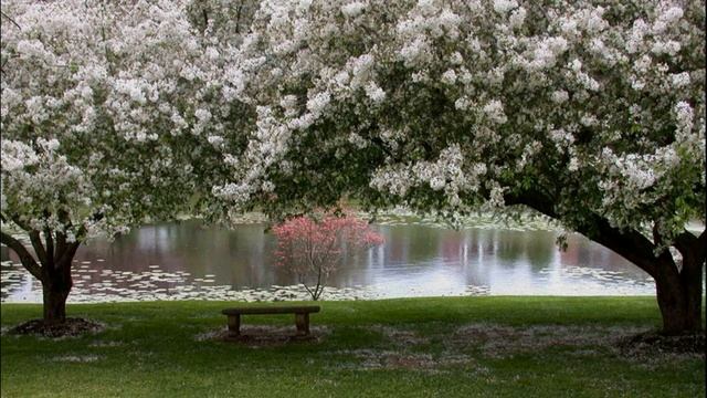 В память Леонида Филатова. Мгновение тишины. Стихотворение. / Читает Тамара Туровская смотреть онлайн