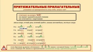 Имя прилагательное. Полный обзор. #прилагательное #части_речи  #егэ #огэ #русский_язык