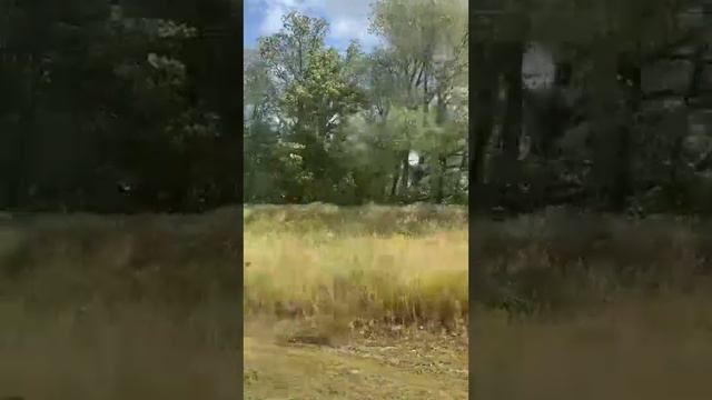 Родной край смотреть онлайн