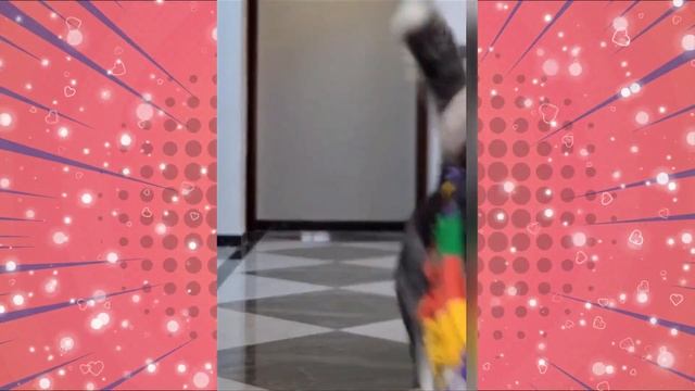 Собаки в ОЧКАХ ?. Ваше настроение просто взлетит! СМЕШНЫЕ СОБАКИ выпуск №2.