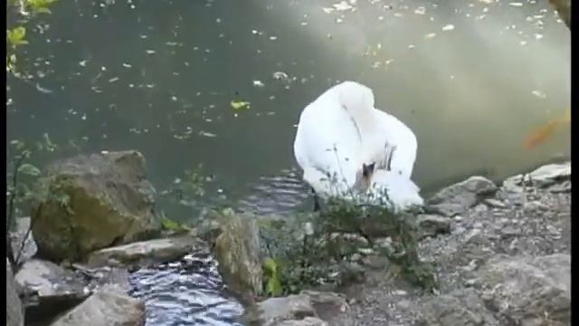Песни для всей семьи 1 смотреть онлайн