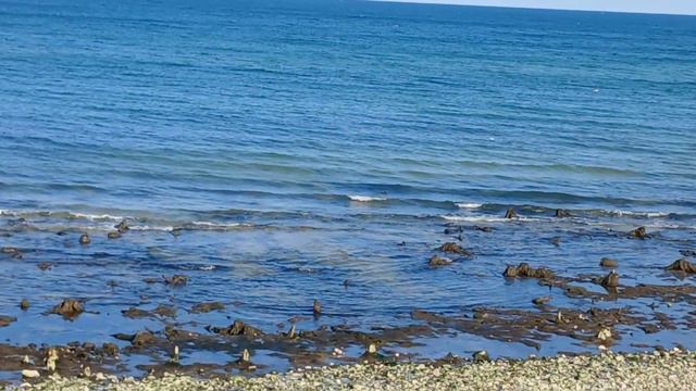 Зеленоградск и его секреты, которые могут стать полезным предупреждение на курортный сезон смотреть онлайн