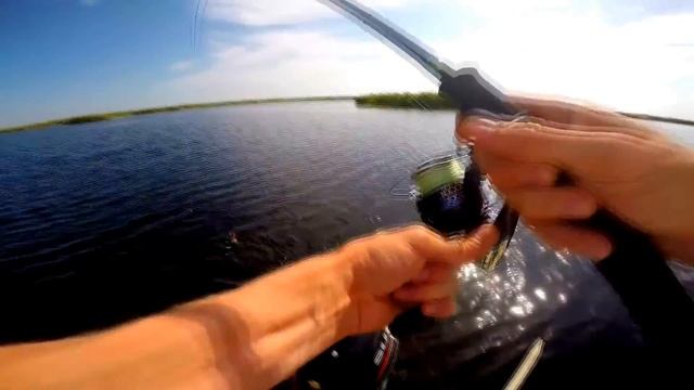Trailer. Astrakhan 2016. ADP Fishing. Рыбалка на раскатах. смотреть онлайн