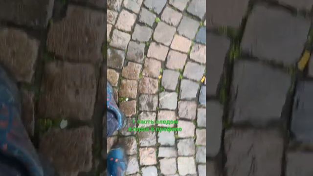 В Германии всем нуждающимся любителям животных дают бесплатно корм - помощь животным. Консервы топ😂 смотреть онлайн