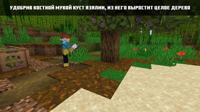 Всё про МОХ АЗАЛИЯ ЛИШАЙНИК | Майнкрафт Факты 1.17 смотреть онлайн