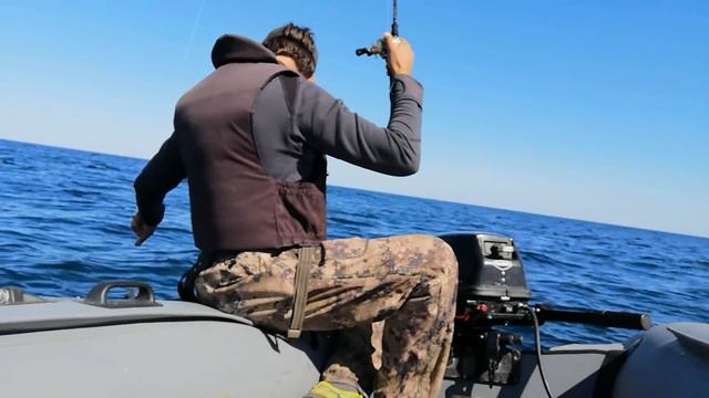 Ловлю Голубого окуня. Рыба на углях! / Blue Rockfish смотреть онлайн