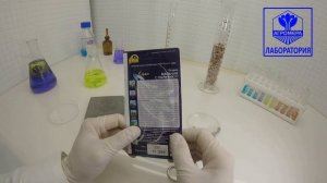 Огурец Мальчик с Пальчик F1. Ваше Хозяйство