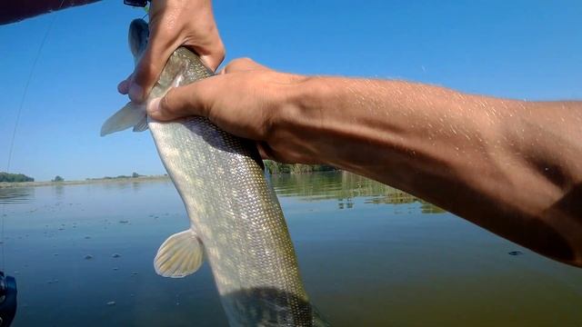 Судак на джиг. Рыбалка в Краснодарском крае. смотреть онлайн