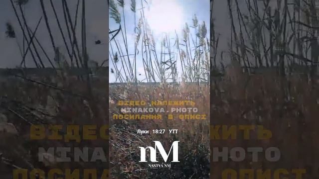 Біблія #писание #библия Луки 18:27 УТТ Він же відповів: Неможливе для людей є можливе для Бога смотреть онлайн