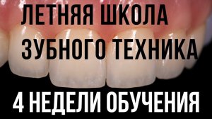 Зубной техник обучение летняя школа зубного техника. Как за 4 недели стать специалистом Курсы