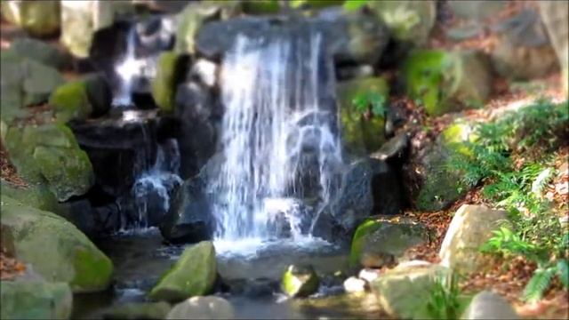 canon PowerShot SX130 IS смотреть онлайн