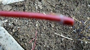 ЧЕРЕНКОВАНИЕ ДЁРЕНА