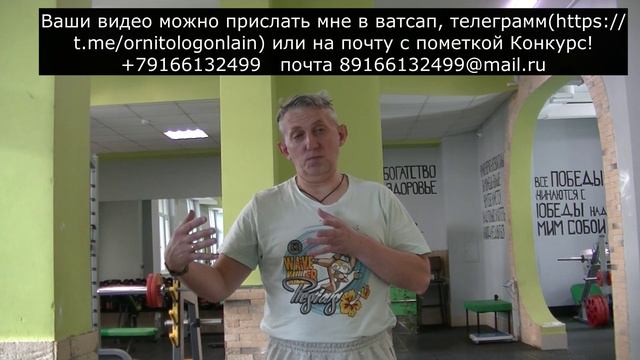 Конкурс! Не самый быстрый и легкий способ похудеть. 30.04.2024 смотреть онлайн