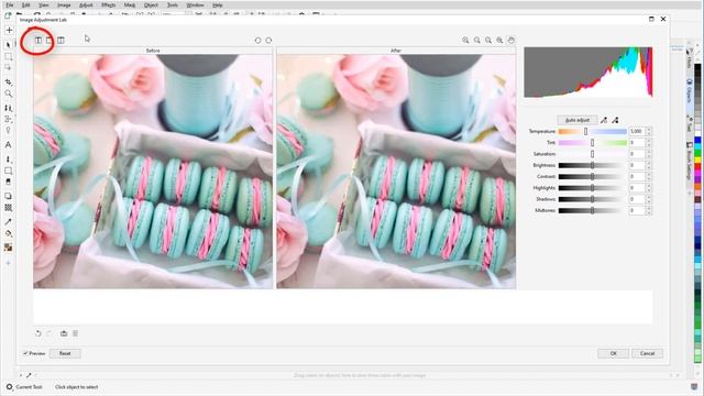 Basic Image Editing and Touch Up in Corel PHOTO-PAINT (Windows) смотреть онлайн