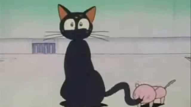 A pink cat chews Luna's tail while I play unfitting music смотреть онлайн