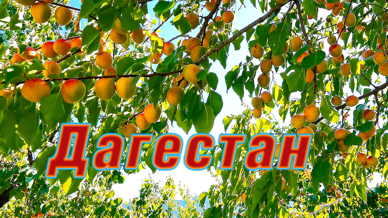 Что смотреть в Дагестане? Часть 3. Гуниб, водопад и другие красоты Дагестана ? Видео 4К смотреть онлайн