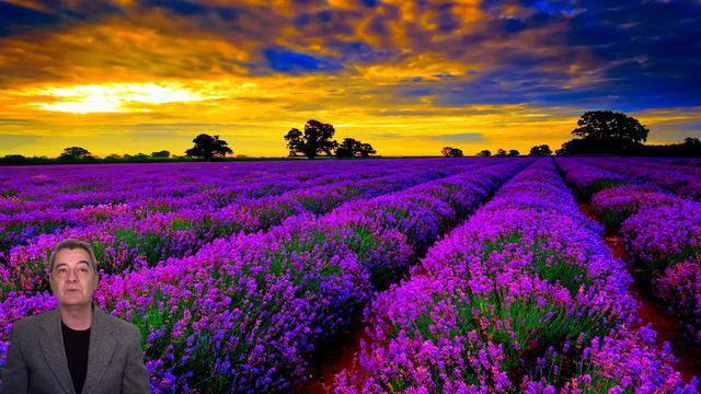 Cosmin Sofron-Francesco Petrarca-SONET CCLXXIII смотреть онлайн