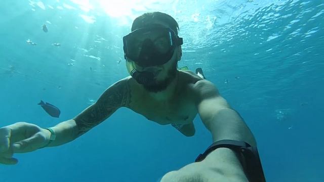 ЕГИПЕТ В ЯНВАРЕ | 2020 | EGYPT | ШАРМ-ЭЛЬ-ШЕЙХ | CONTINENTAL PLAZA BEACH 5* смотреть онлайн