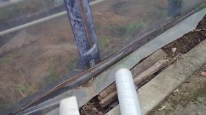 Теплица из стрейч плёнки? с начало посмотрите это видео.