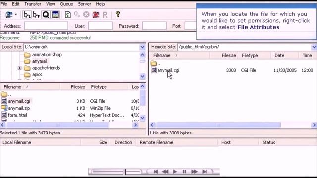 Using FileZilla FTP Client смотреть онлайн