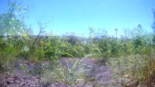 Teodemir çeLikarsLan смотреть онлайн