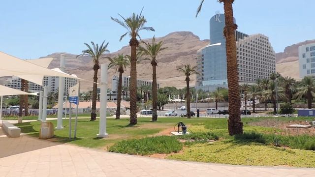 Израиль Эйн-Бокек Окрестности пляжа Мёртвого моря - 5 июня 2017 смотреть онлайн