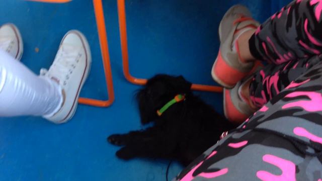 Катаемся со Славой по Москва реке, от Воробьевых Гор до Красной Площади. смотреть онлайн