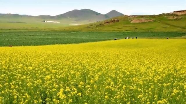 5 УДИВИТЕЛЬНЫХ ГАДЖЕТОВ которые пригодятся вам для жизни смотреть онлайн