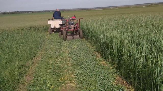 Самодельная роторная косилка - косим сидя. смотреть онлайн