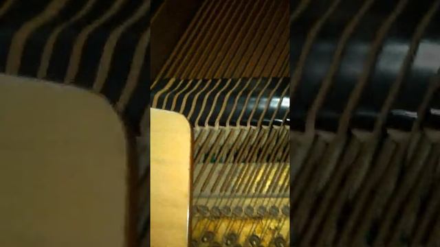 GEYER Piano смотреть онлайн