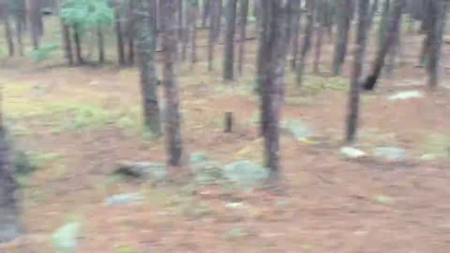 Озеро Боровое 🌊 серия 3 смотреть онлайн