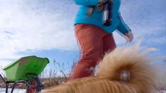 Как отметить день рождения с пользой на даче . смотреть онлайн