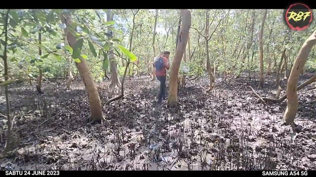 VLOG HUJUNG MINGGU MENCARI LOKAN HUTAN API- API смотреть онлайн