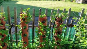 ВЕРТИКАЛЬНЫЕ ГРЯДКИ ДЛЯ КЛУБНИКИ ИЗ ТРУБЫ