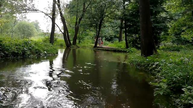 Таймлапс ручей парк Кузьминки смотреть онлайн