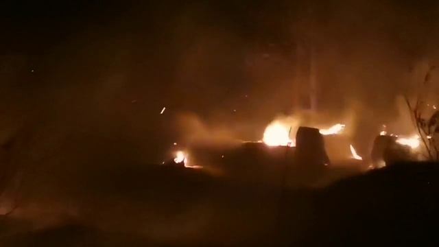 В лесном массиве Тольятти локализованы очаги возгорания на площади около 30 га смотреть онлайн