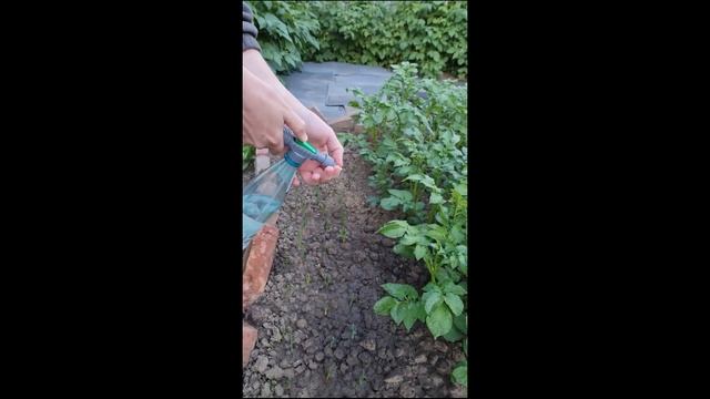 Опрыскиватель с креплением на пластиковую бутылку смотреть онлайн