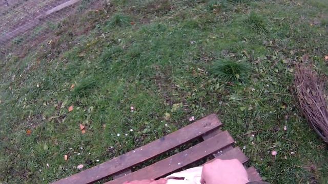 дикий "тунец".... смотреть онлайн