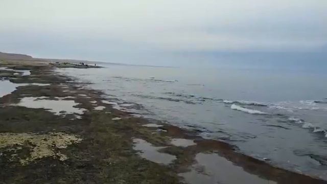 Осенняя рыбалка смотреть онлайн