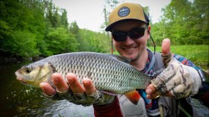 ОТКРЫТИЕ СЕЗОНА 2023 по голавлю, дарю приманку подписчику!