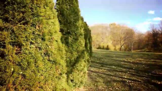 Усадьба Барона Антуана Анри Жомини. 2018 год. смотреть онлайн