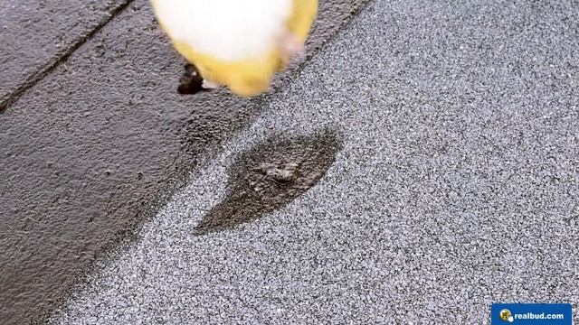 Realbud Testuje #9 | Masa Do Naprawy Pokryć Papowych | #realbudpoleca