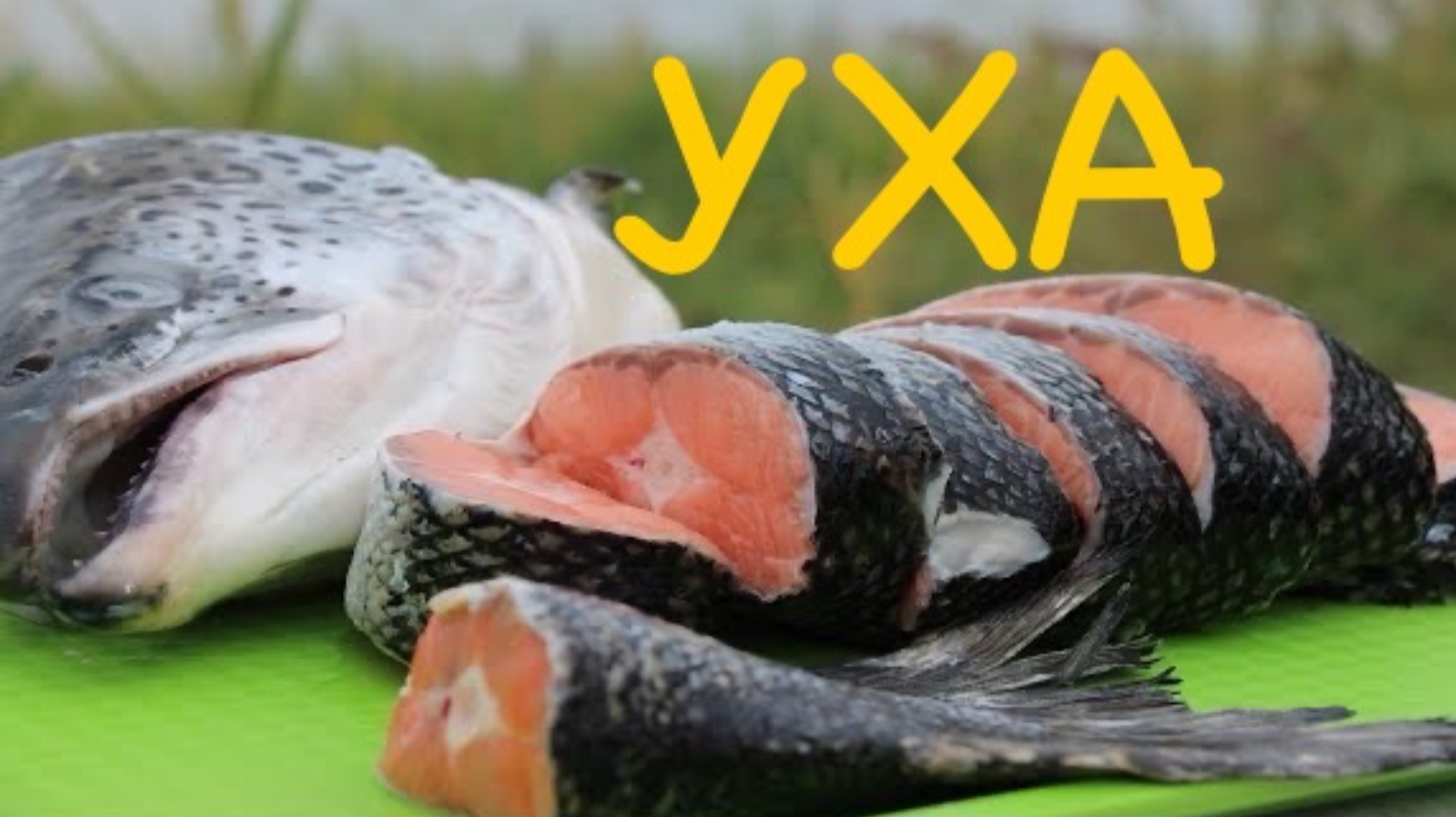 Уха из рыбы сёмги в казане на костре. смотреть онлайн