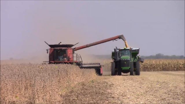 Case IH 8230 Combine In Illinois Bean Harvest