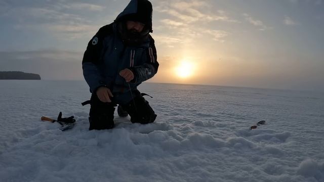 НЕ ЗРЯ ПОСТАВИЛИ ЖЕРЛИЦЫ К ЭТОМУ ТРОСТНИКУ | МЫ ЯВНО НАШЛИ НАЛИМЬЮ ТРОПУ | ЛОВЛЯ НАЛИМА В КАРЕЛИИ смотреть онлайн
